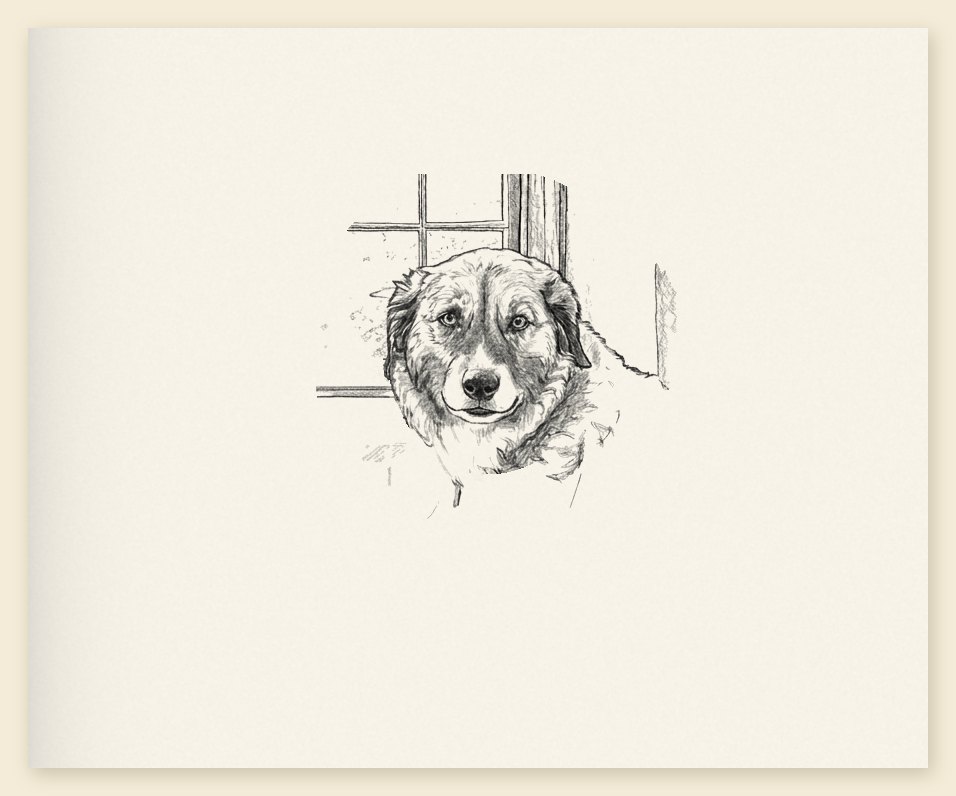 Pencil sketch of a shaggy dog by a pub window, left unfinished at the edges.